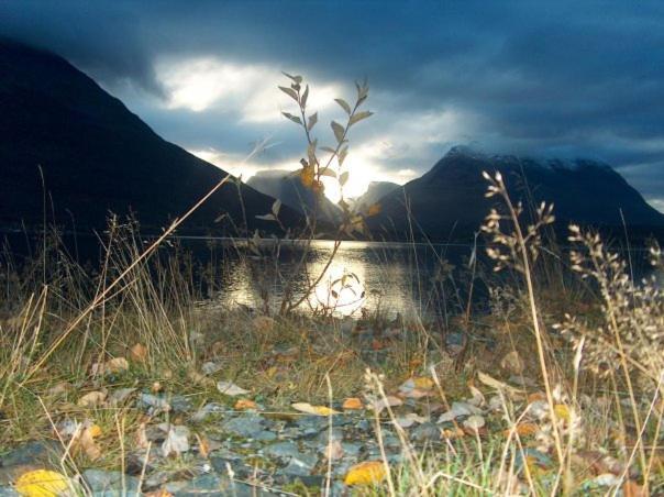 Vila Lyngen Brygge Aroybukta Exteriér fotografie