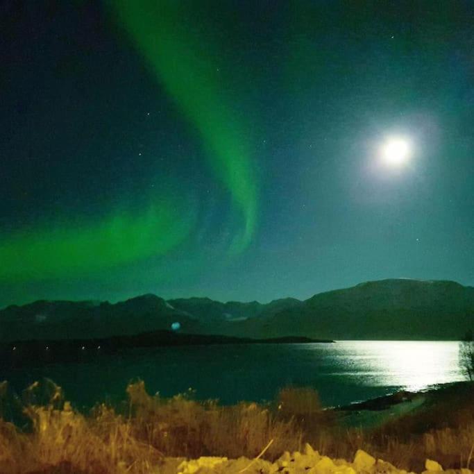 Vila Lyngen Brygge Aroybukta Exteriér fotografie